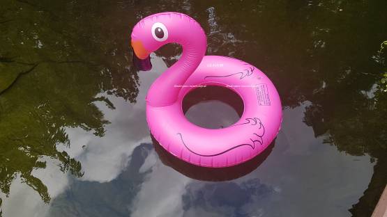 Flamingo Schwimmring Kinder Schwimmreifen Schwimmhilfe Schwimmtier 60 cm